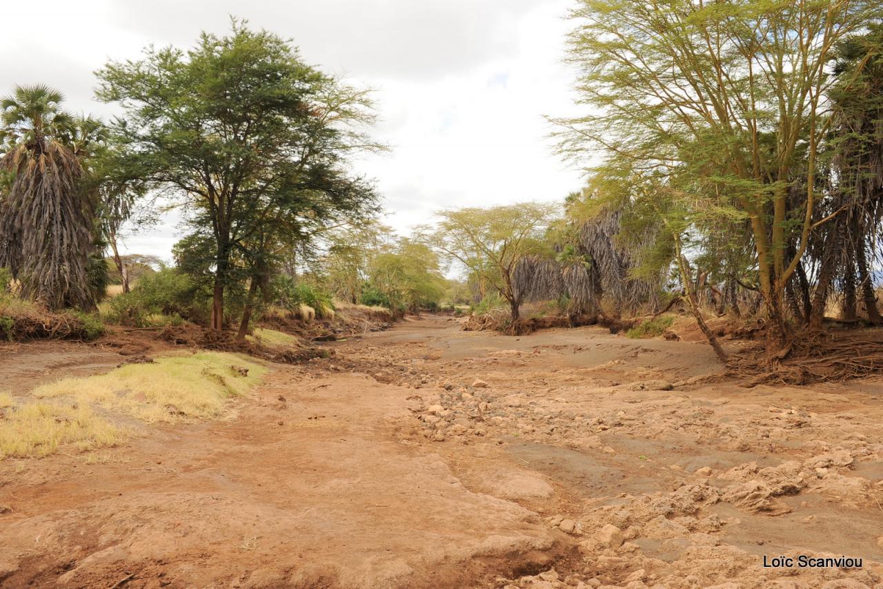 Tsavo West (14)
