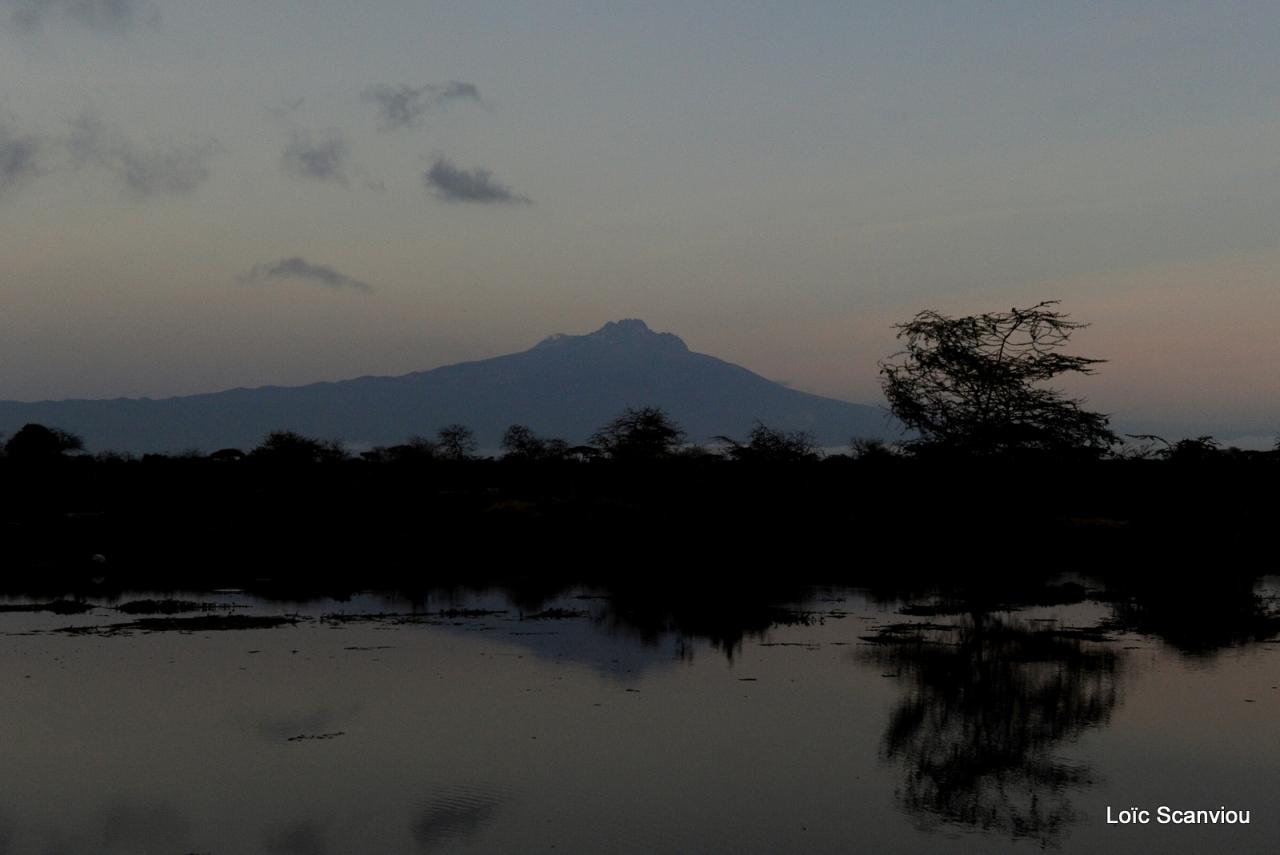 Tsavo West (18)