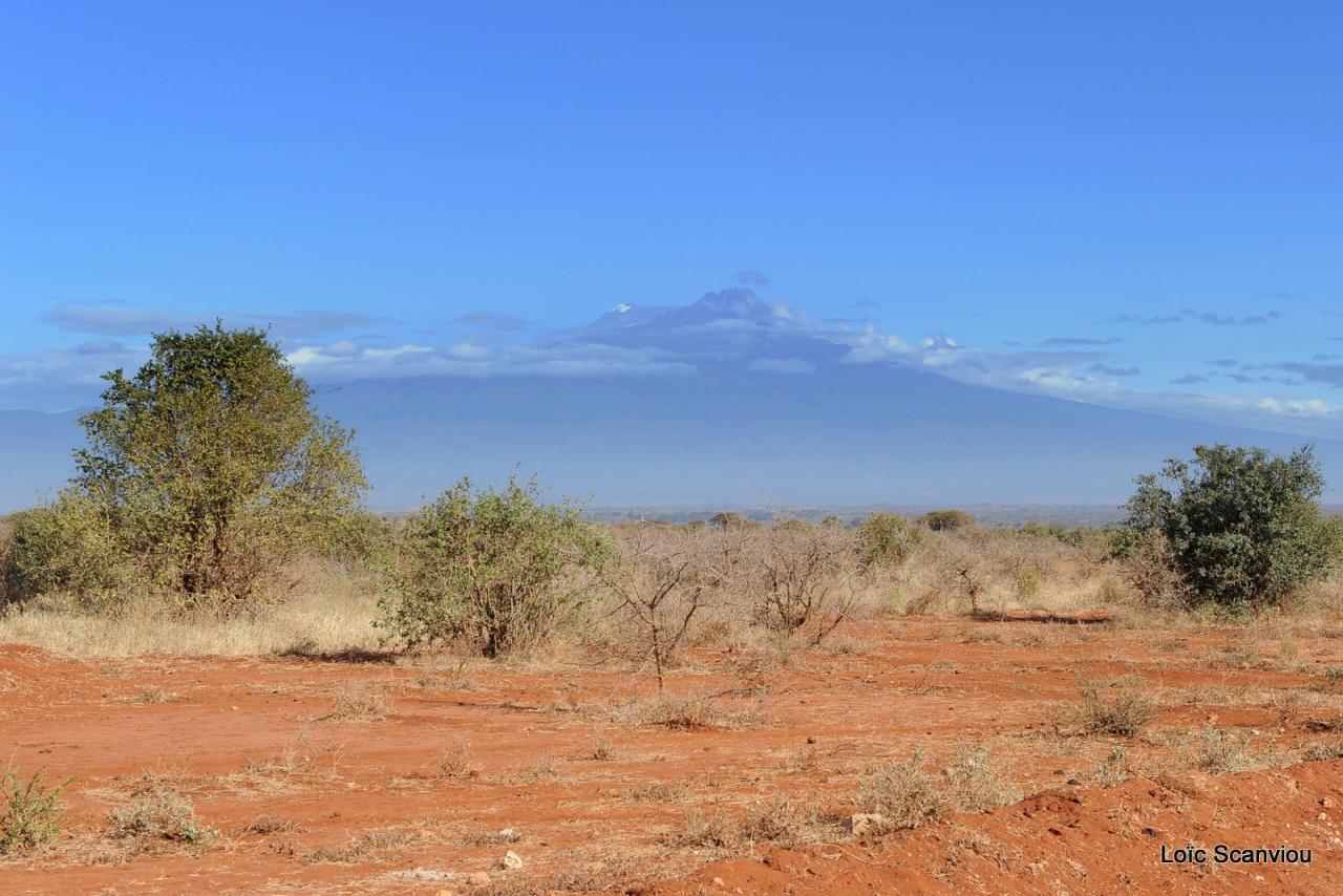 Tsavo West (20)