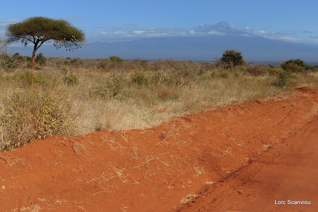 Tsavo West (21)