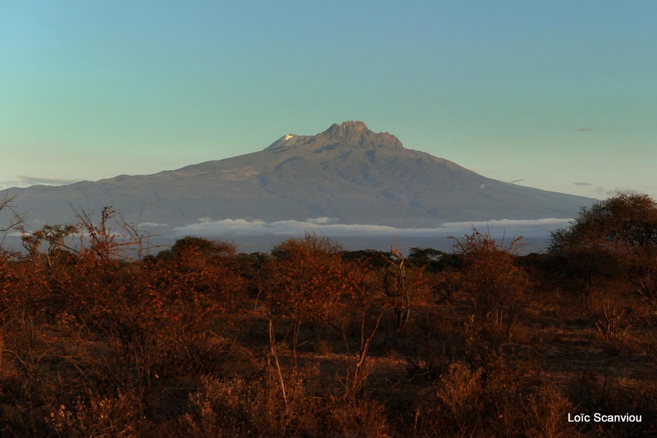 Tsavo West (29)