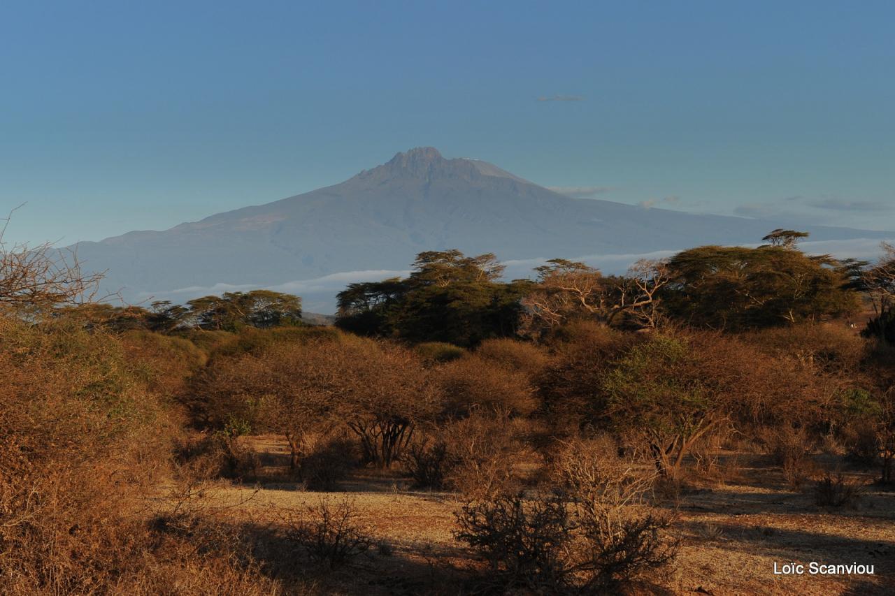 Tsavo West (30)