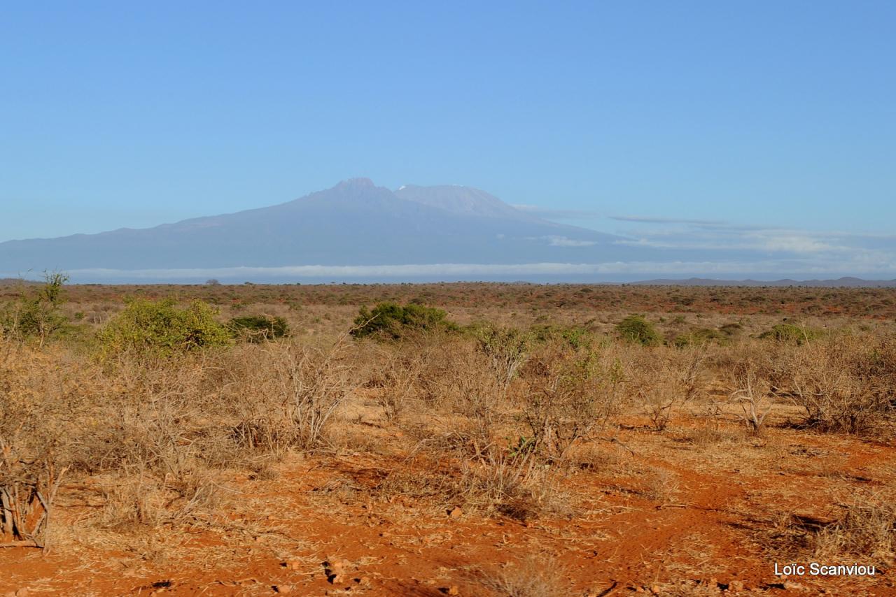Tsavo West (31)