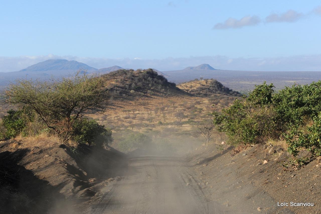 Tsavo West (34)