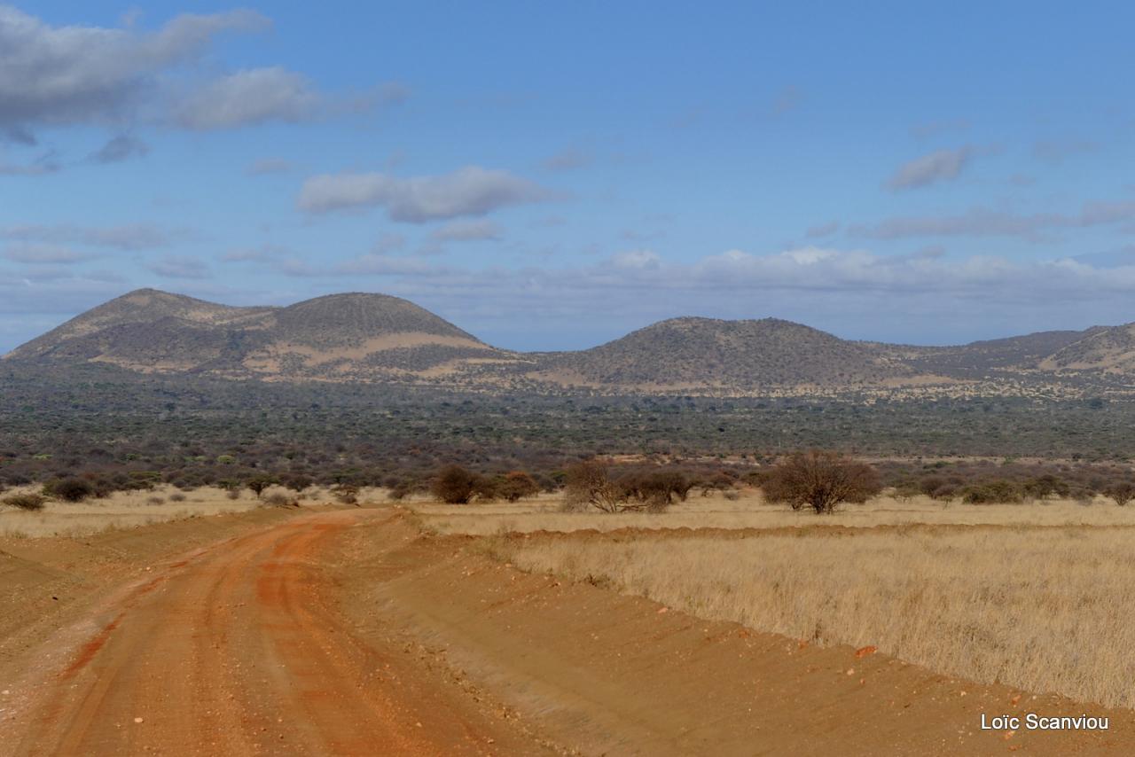 Tsavo West (35)