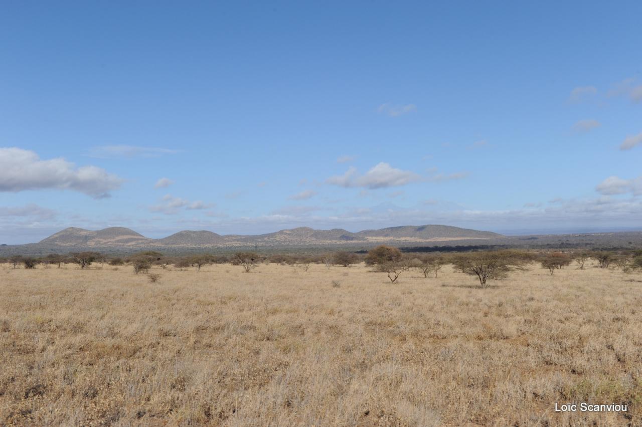 Tsavo West (36)