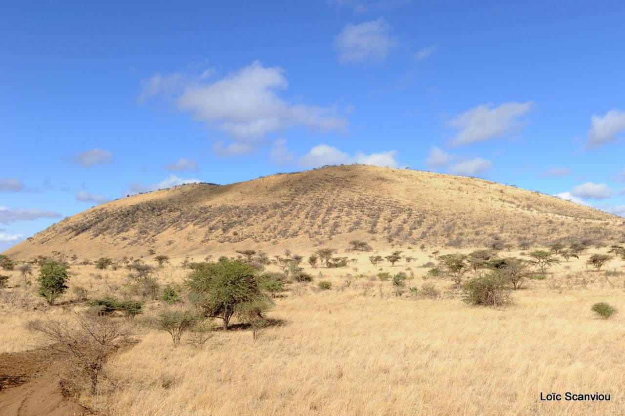 Tsavo West (37)