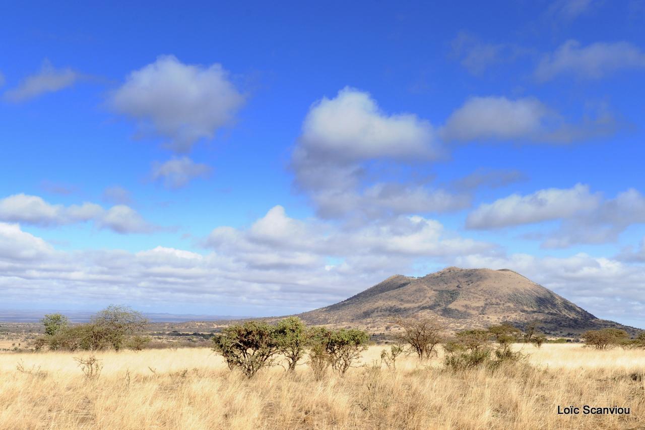 Tsavo West (38)