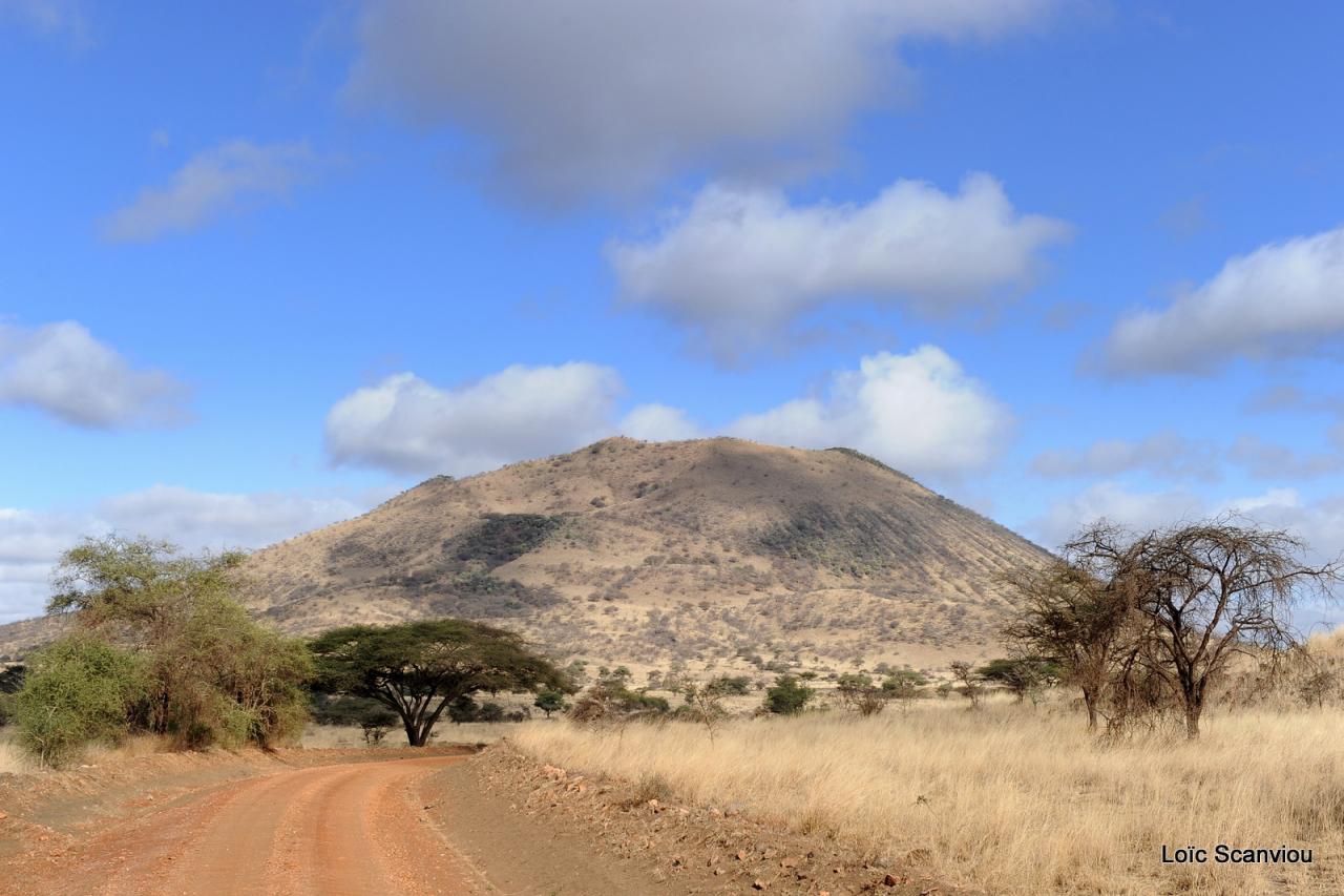 Tsavo West (39)