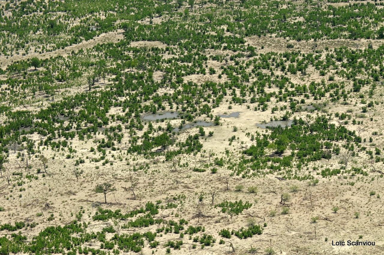 Vu du ciel (38)