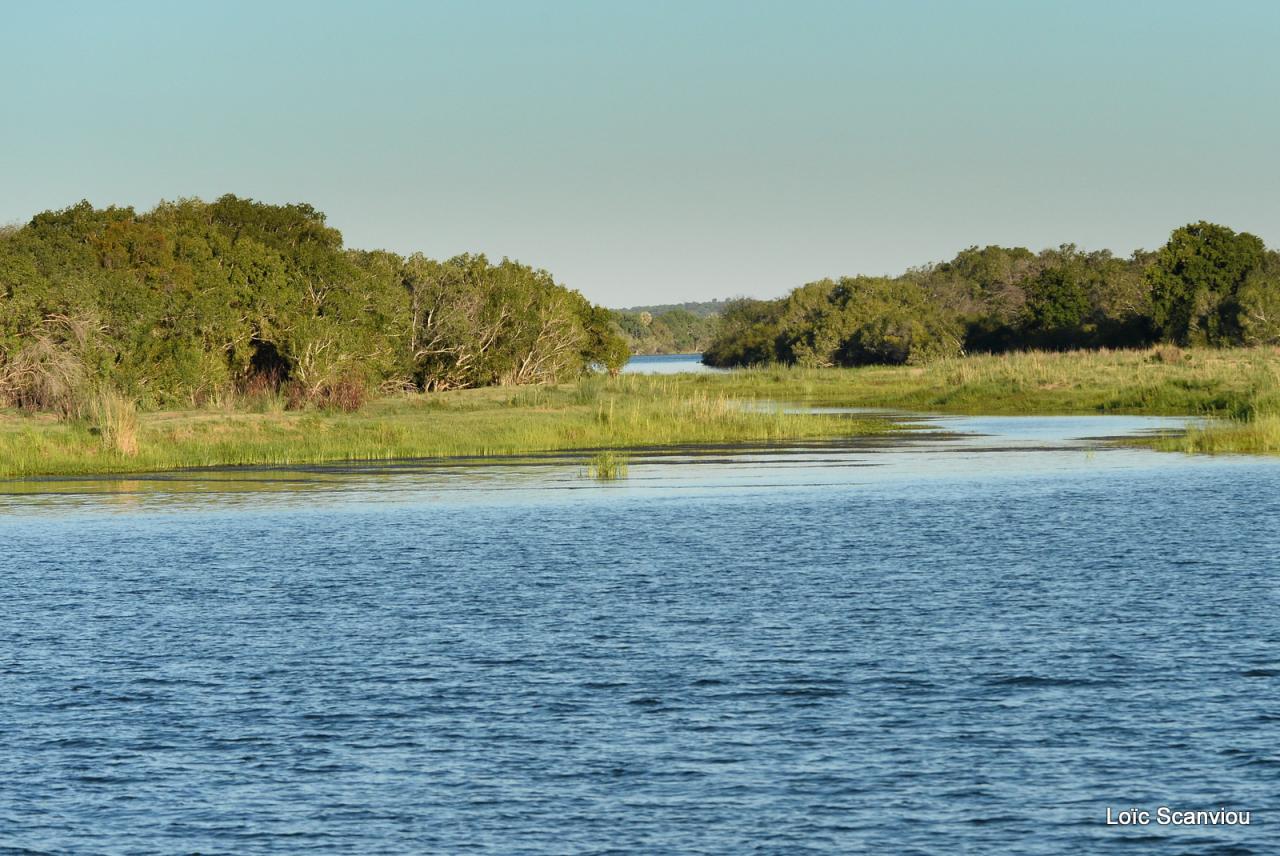 Zambezi cruise (15)