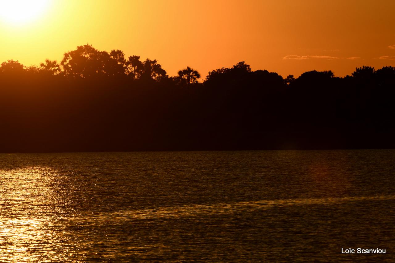 Zambezi cruise (22)