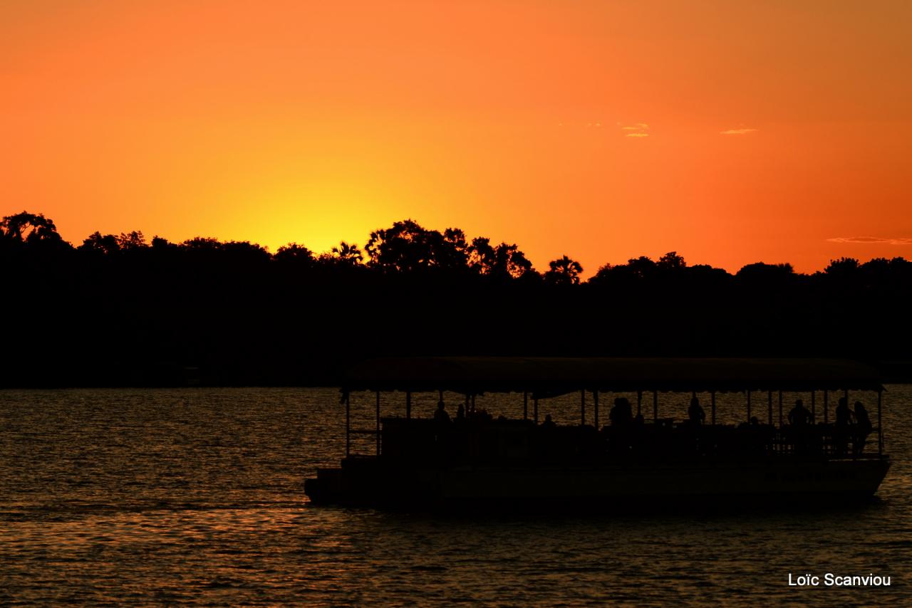 Zambezi cruise (24)
