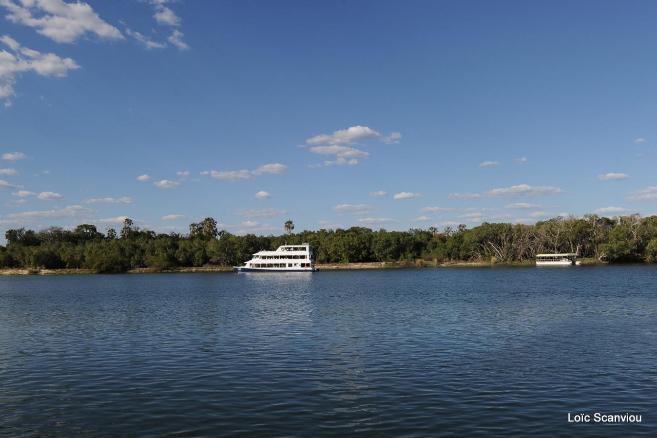 Zambezi cruise (26)