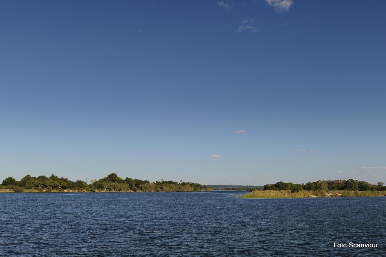 Zambezi cruise (27)