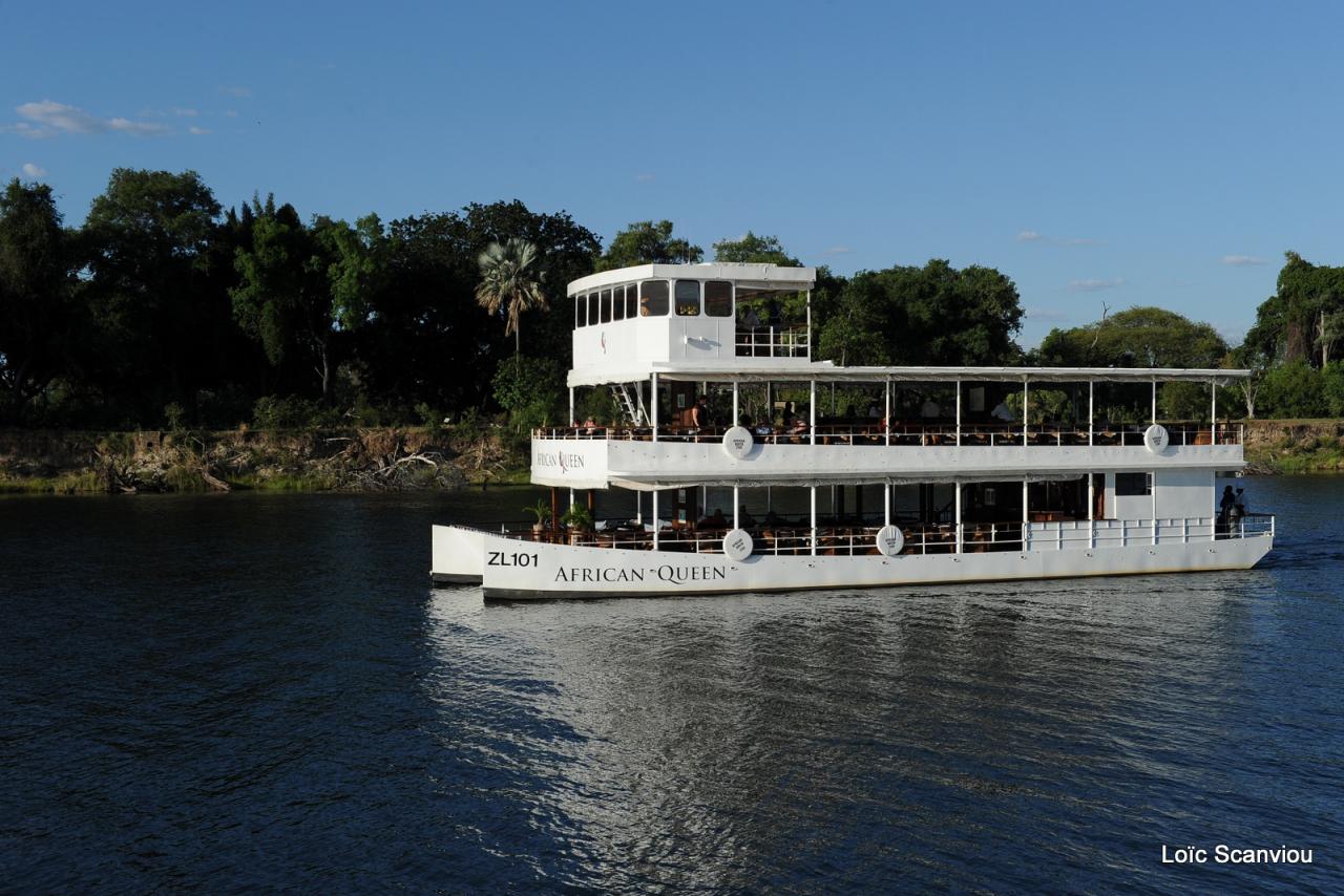 Zambezi cruise (28)